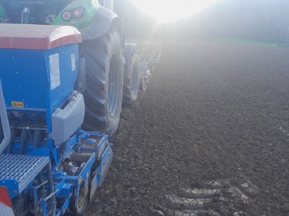 Bild 3:Drillsaat kombiniert mit Lemken Sämaschine