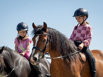 Welsh C Pony Kinderpony