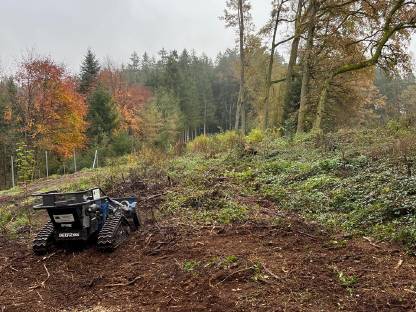 Bild 7:Landschaftspflege Mulchen, Forstmulchen mit Mulchraupe