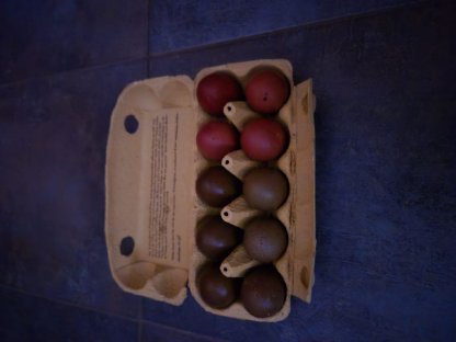 Bild 3:Bruteier, verschiedene Rassen