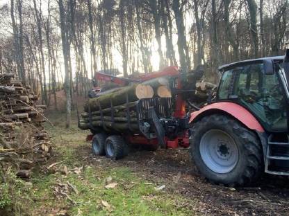 Bild 5:Rundholztransport, Holztransport, Rückewagentransport