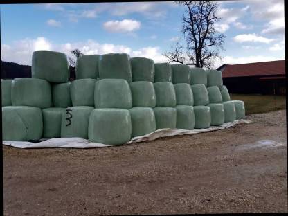 Silageballen, Silofutter