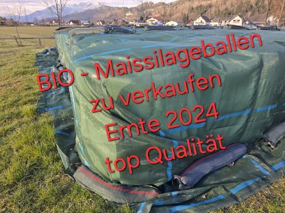 BIO-Maissilageballen