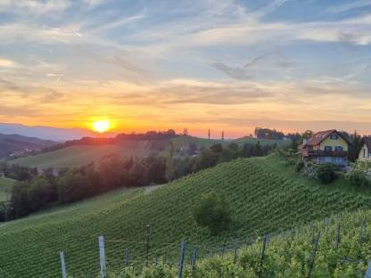 Verpachte Weingarten Südsteiermark