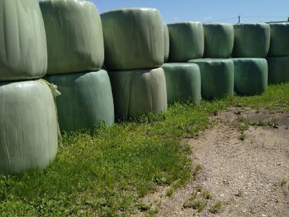 Silageballen