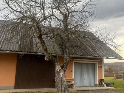 Apfelbäume zu verkaufen – Holz selbst schneiden