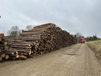 Bild 2:Hackgut zu verkaufen