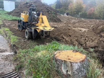 Bild 4:Bagger und Forstarbeiten