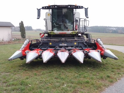 Maisplücker für Claas Lexion Tecnomais 6-75