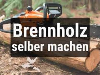 Suche Brennholz zum Selbermachen