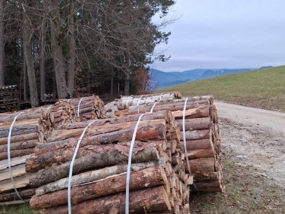 Holzbündel zu verkaufen